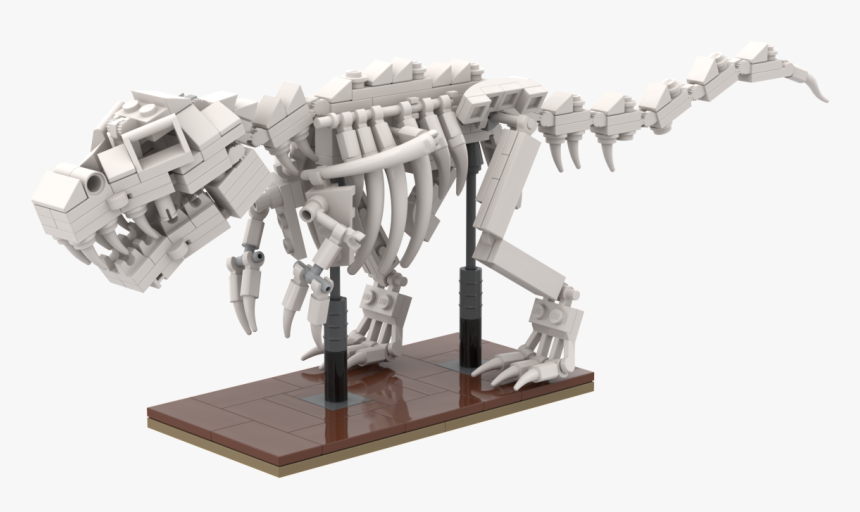 Skeleton, HD Png Download