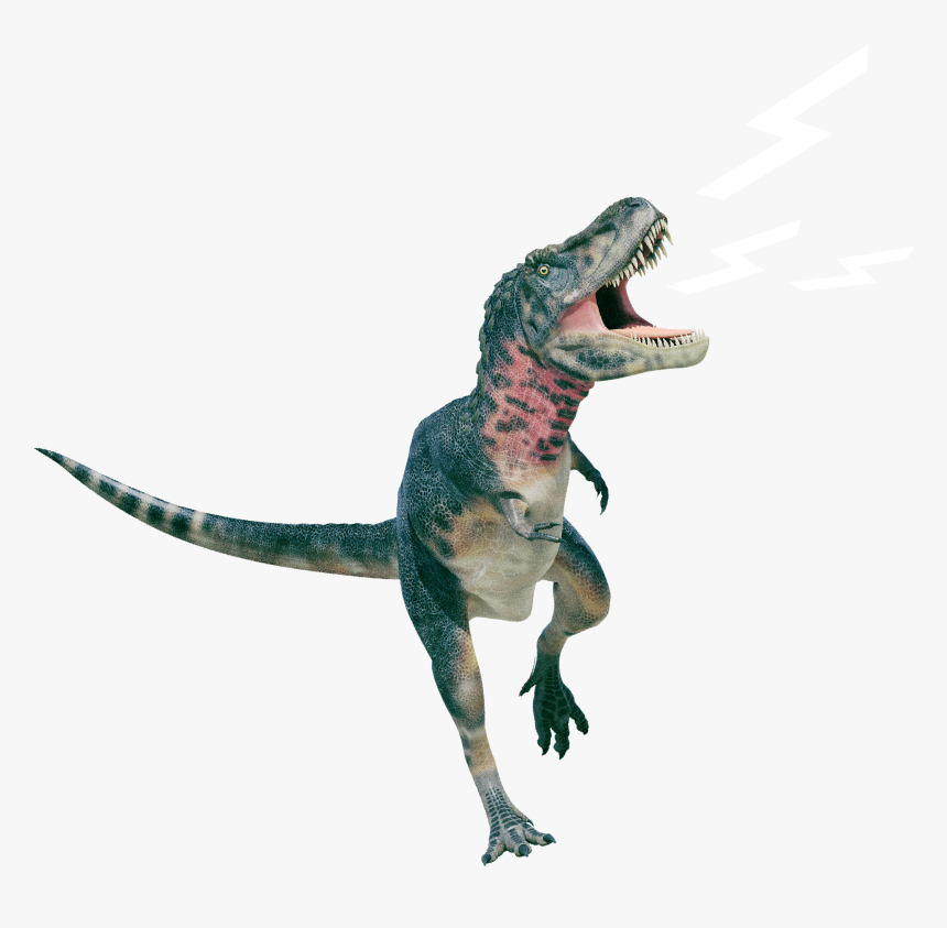 Rex Brüllt - Animal Figure, HD Png Download