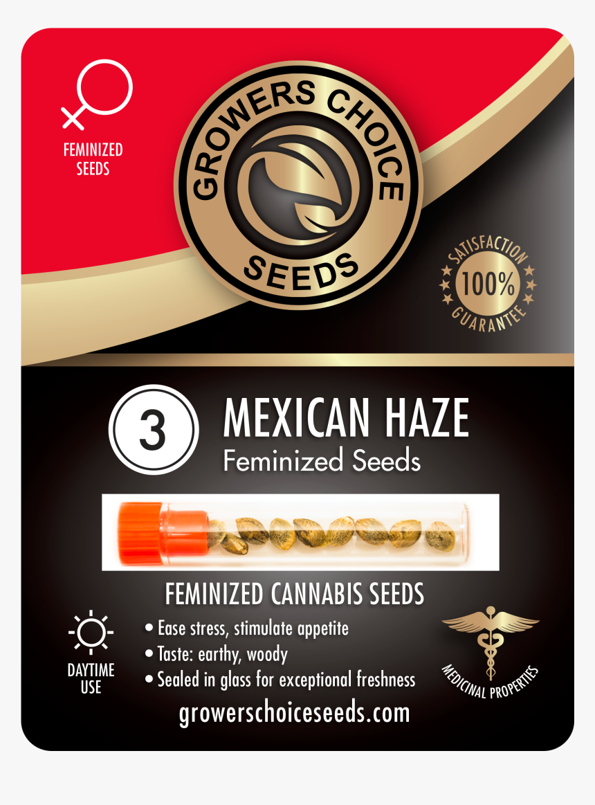 White Widow Weed 4 Sale, HD Png Download