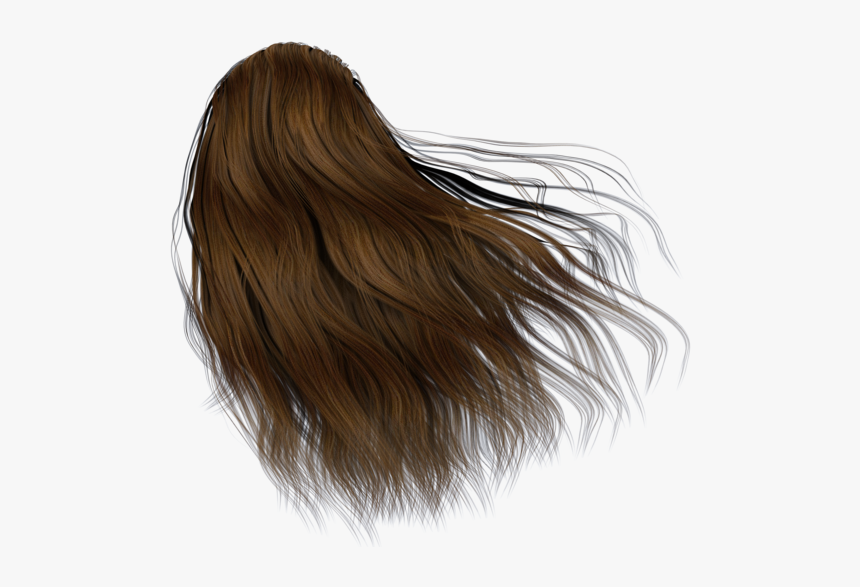 Hair Back Png, Transparent Png