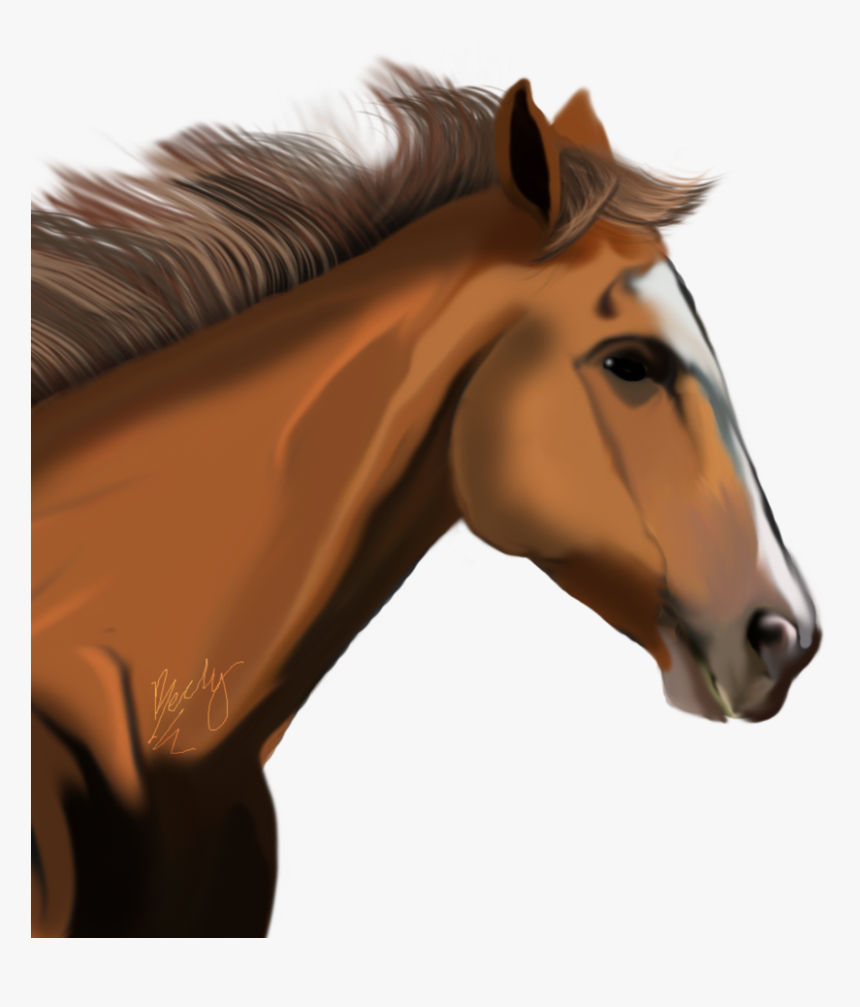 Download Horse Png Transparent Images Transparent Backgrounds - Race Horse Head Png, Png Download