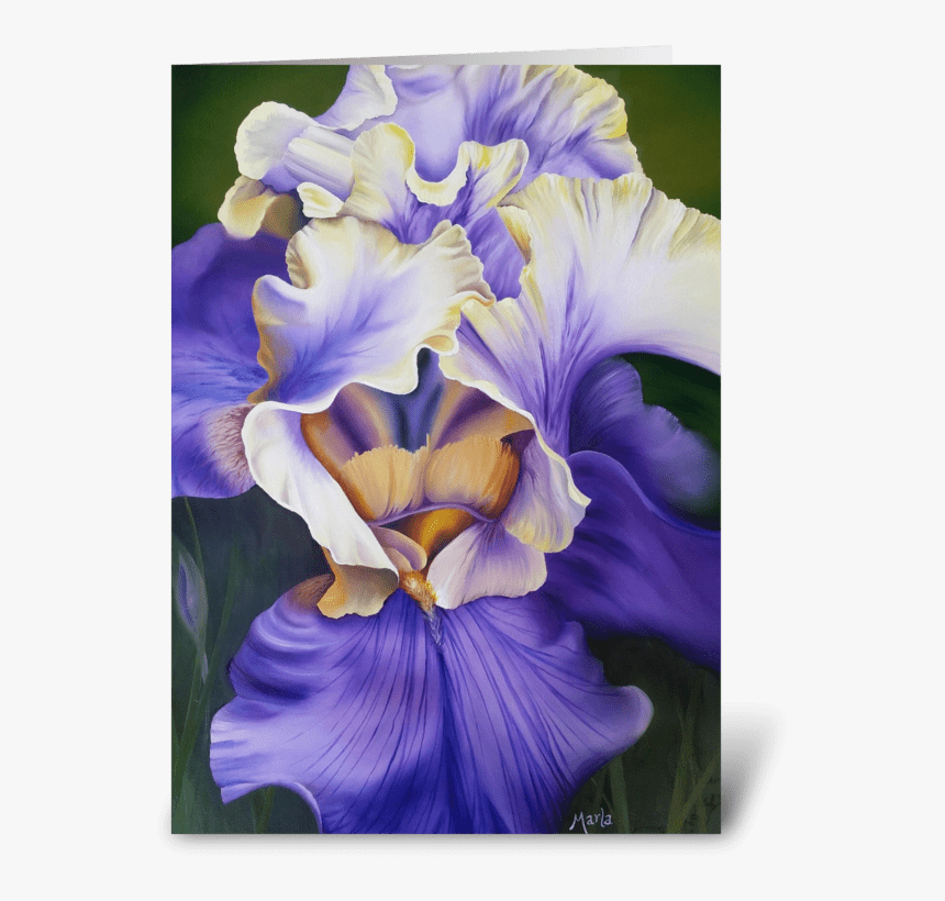 Iris Greeting Card - Orris Root, HD Png Download