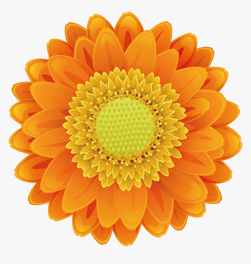 Sunflower Pictures Free Download Sunflower Png, Sunflower - Orange Flower Clip Art, Transparent Png