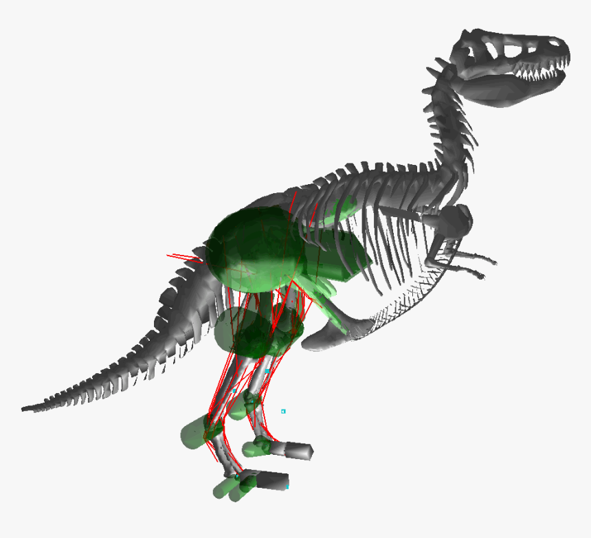 Tyrannosaurus , Png Download - Tyrannosaurus, Transparent Png