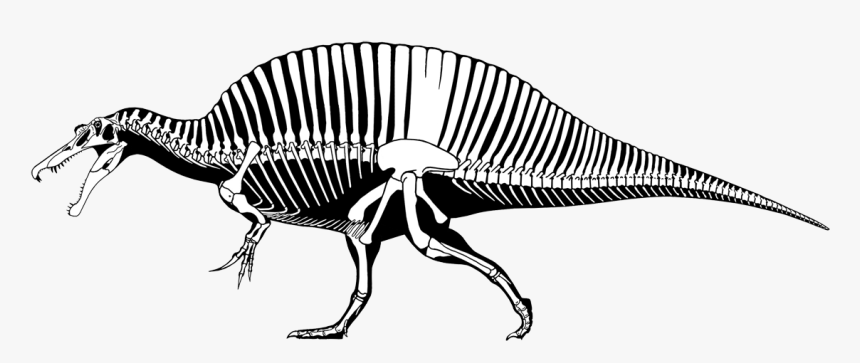 New Silhouette By - Spinosaurus Aegyptiacus Vs T Rex, HD Png Download