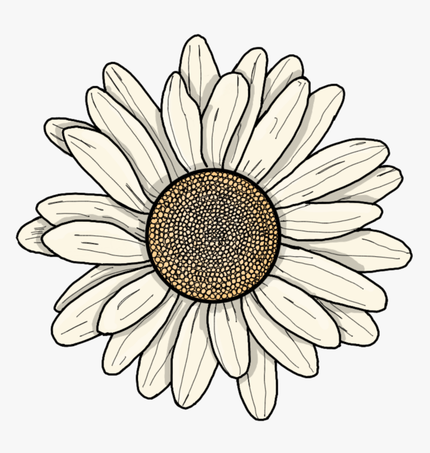 #flower #cartoon - Flower Cartoon, HD Png Download