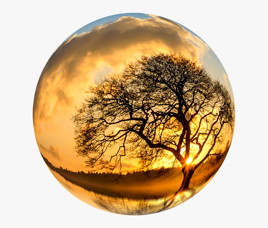 Download Earth Nature Png Photo 1 For Designing Purpose - Lone Tree Hd, Transparent Png