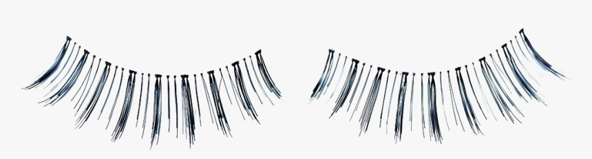 Eyelash Extensions Stock Photography - False Lashes Transparent Background, HD Png Download
