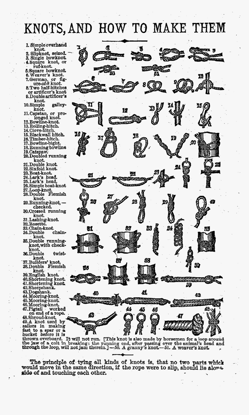 Clip Art Black And White Library Antique Images Digital - Vintage Knots, HD Png Download