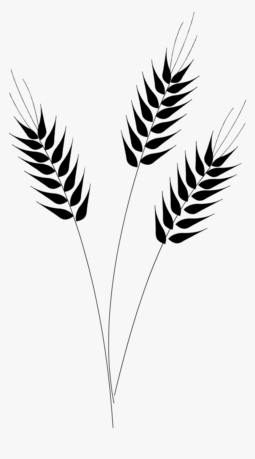Stalk Clipart Rice - Wheat Black And White Clipart, HD Png Download
