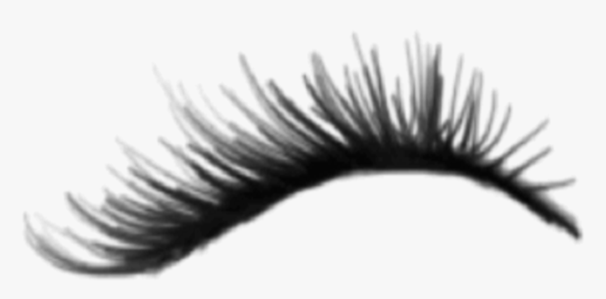 Realistic Eyelashes Transparent Background, HD Png Download