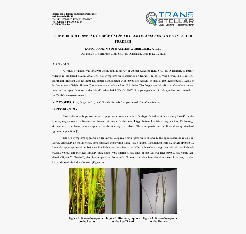 Proposal For A Black Southern Cultural Conference, HD Png Download