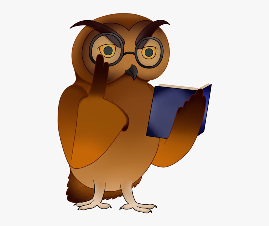 Owl Clip Art Owlet - Owl, HD Png Download