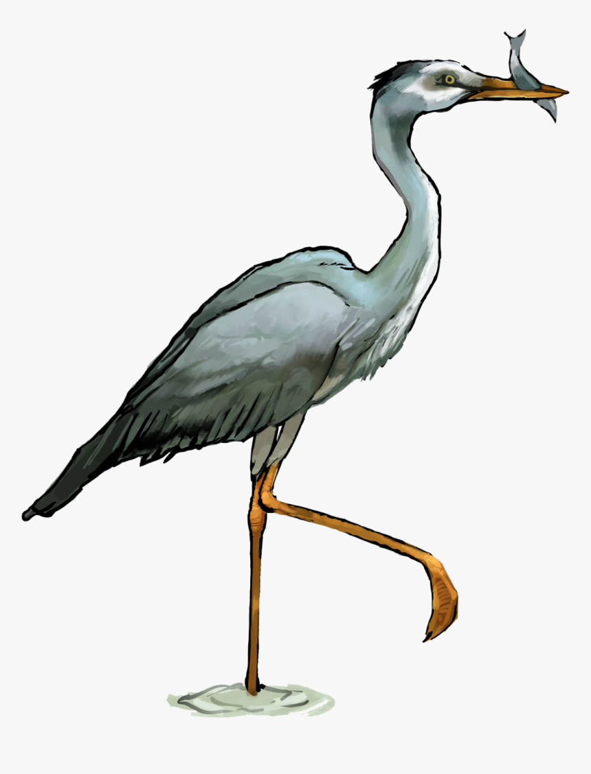 Clip Art Great Blue Heron Clipart - Transparent Heron Png, Png Download