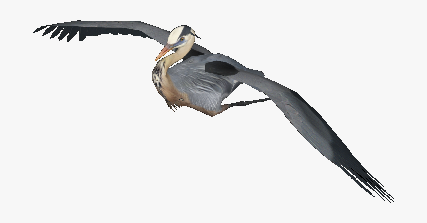 Vulture, HD Png Download