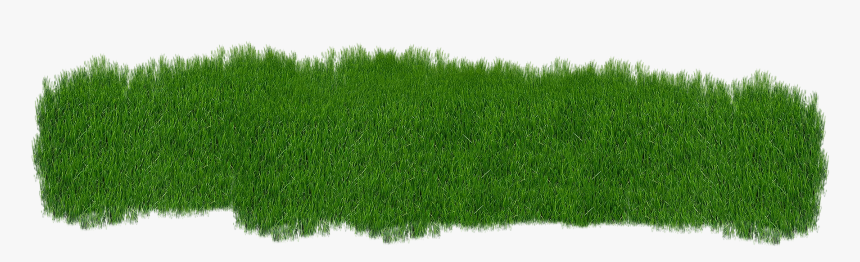 Grass Green Plant Green Grass Nature Summe - Lawn, HD Png Download