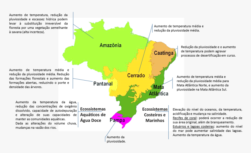 Thumbnail - Mapa Dos Biomas Brasileiros, HD Png Download