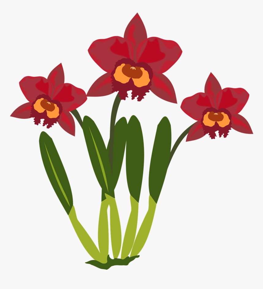 Free To Use Public Domain Orchid Flower Clip Art - Cartoon Picture Of Orchid Flower, HD Png Download