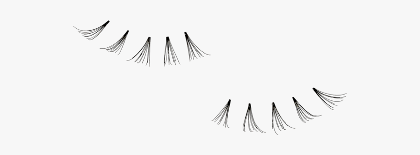 Eyelash Extensions, HD Png Download