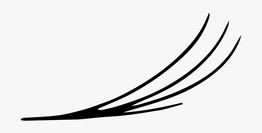 Lashes-03 - Line Art, HD Png Download