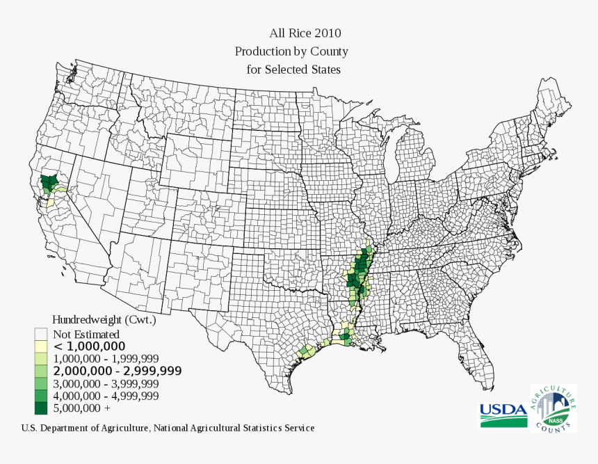 Arkansas Rice Fields, HD Png Download