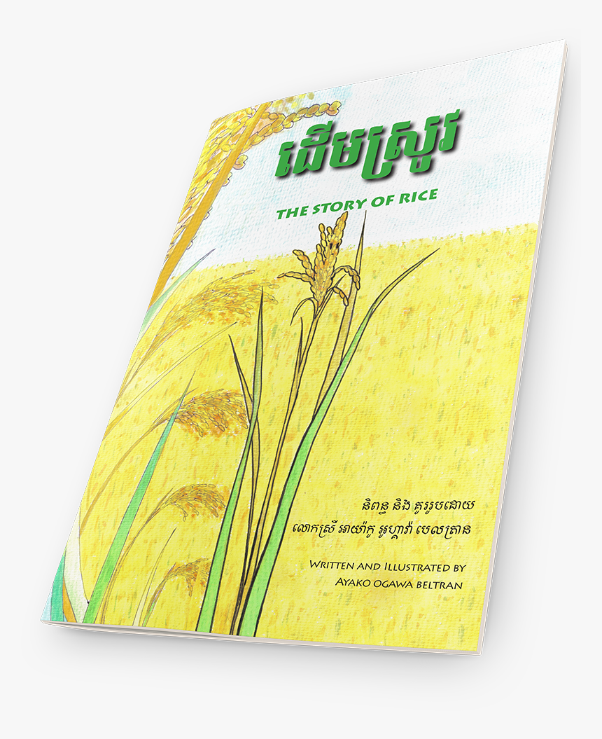 Grass, HD Png Download