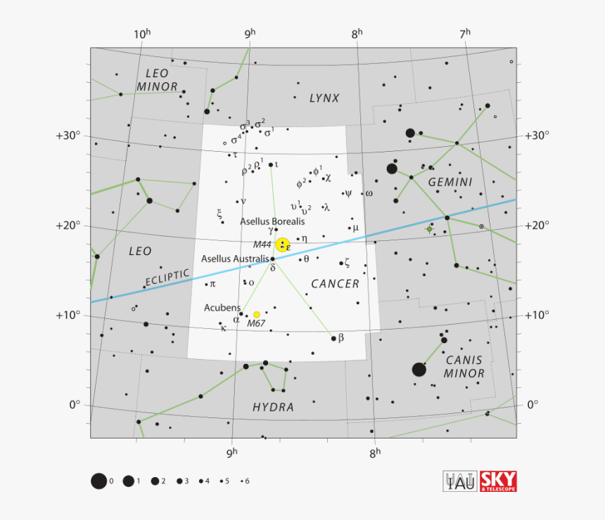 Transparent Leo Constellation Png - Cancer Constellation Location, Png Download