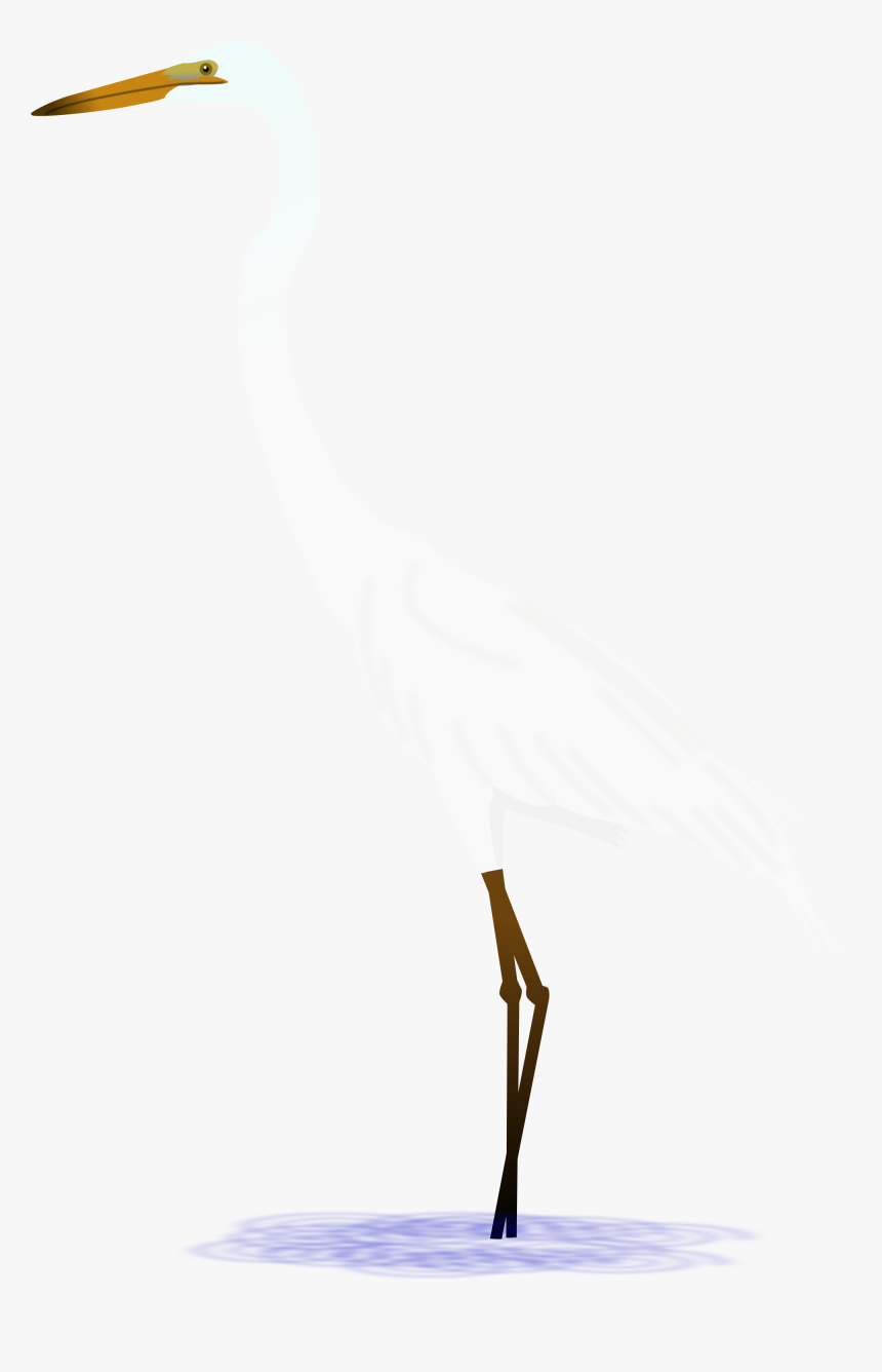 Heron Vector Egret - Great Egret, HD Png Download