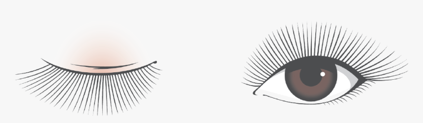 Eyelash Extensions, HD Png Download