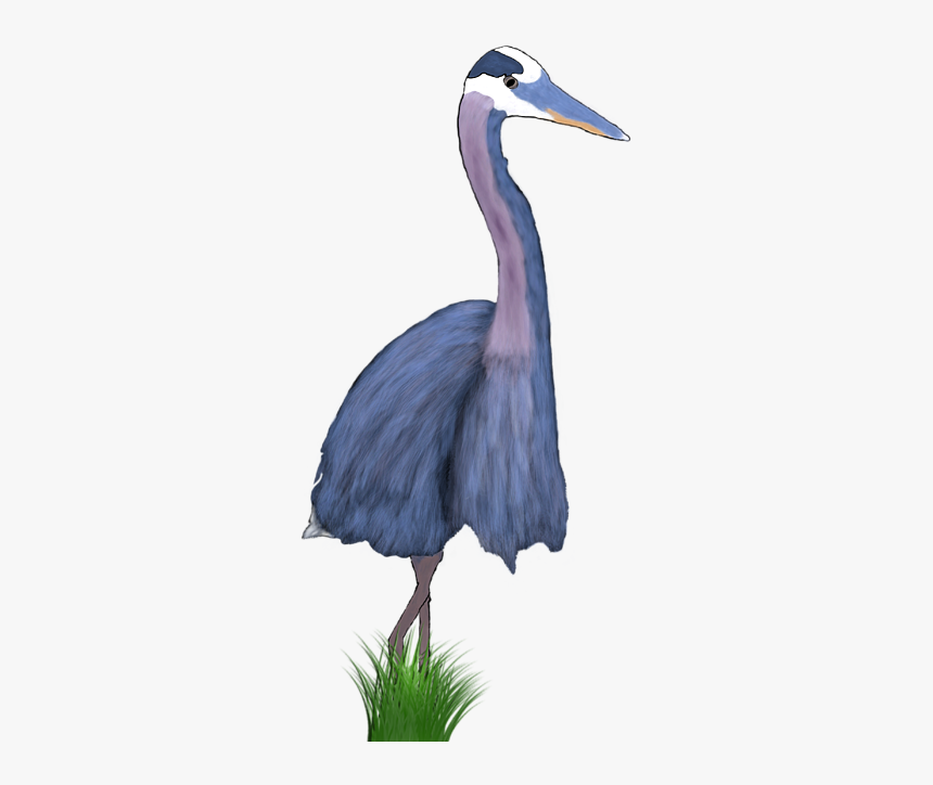 Great Blue Heron, HD Png Download