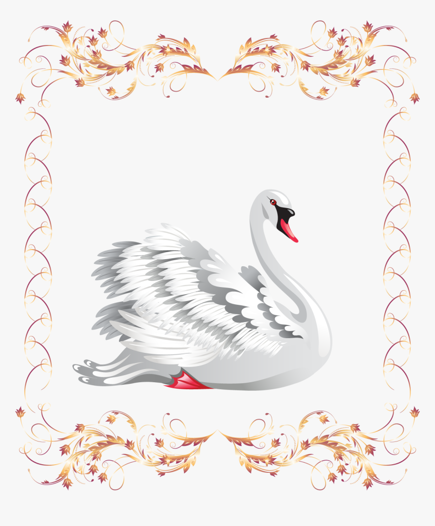 Banner Black Photography Clip Art Beautiful - Cisnes Png, Transparent Png