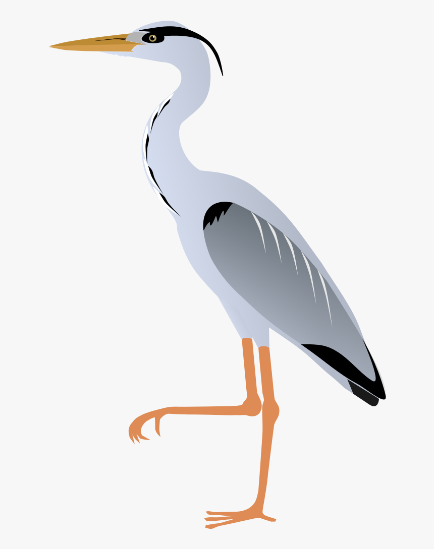 Great Blue Heron Clipart Hd Png Download Transparent Png Image Pngitem
