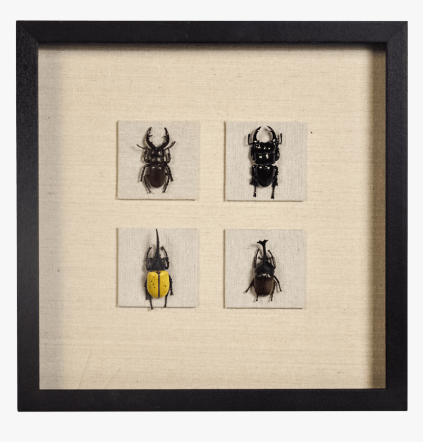 Picture Frame, HD Png Download
