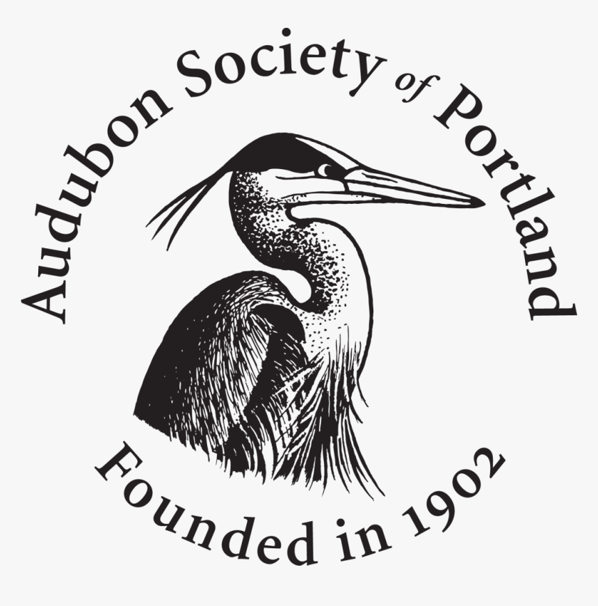 South African National Editors Forum, HD Png Download