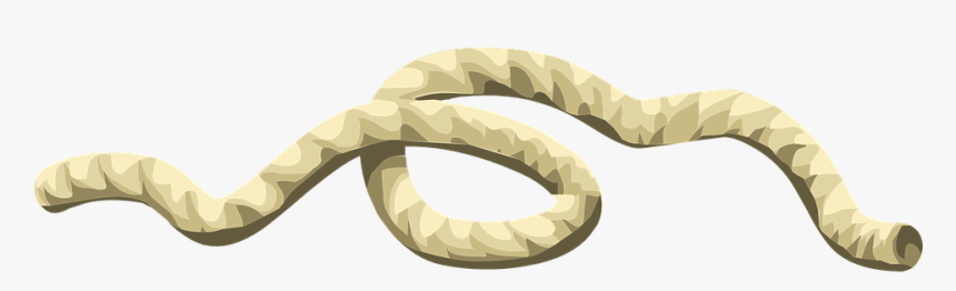 Rope, String, Cord, Cable, Tied, Twine, White - String Rope Transparent, HD Png Download