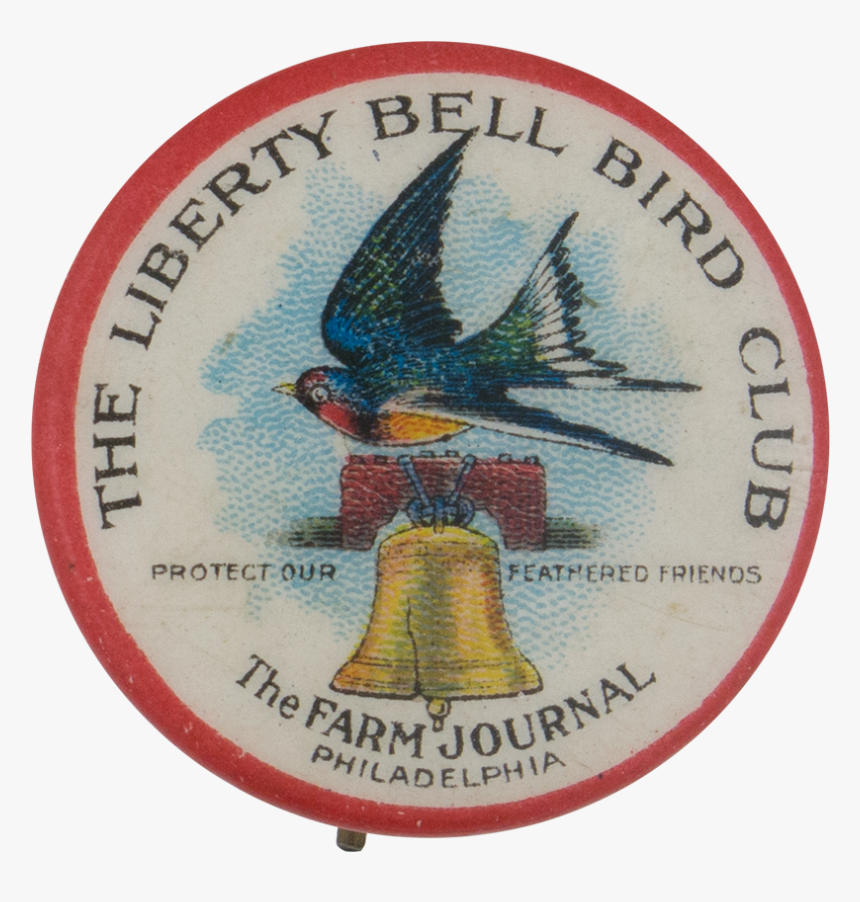 Liberty Bell Bird Club Club Button Museum - Red-tailed Hawk, HD Png Download