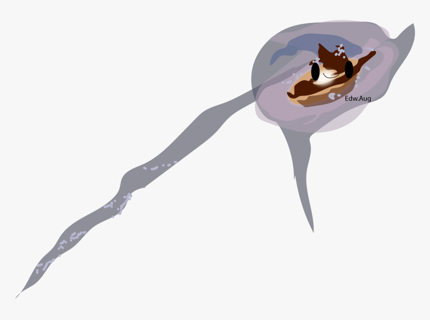 Simple Cosmos Official Wiki - Cartoon, HD Png Download