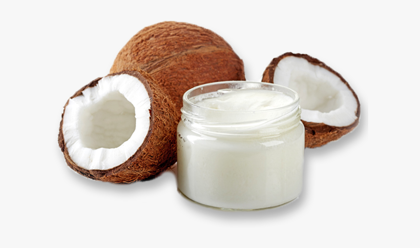 Coconut Transparent - Coconut Oil Image Download, HD Png Download