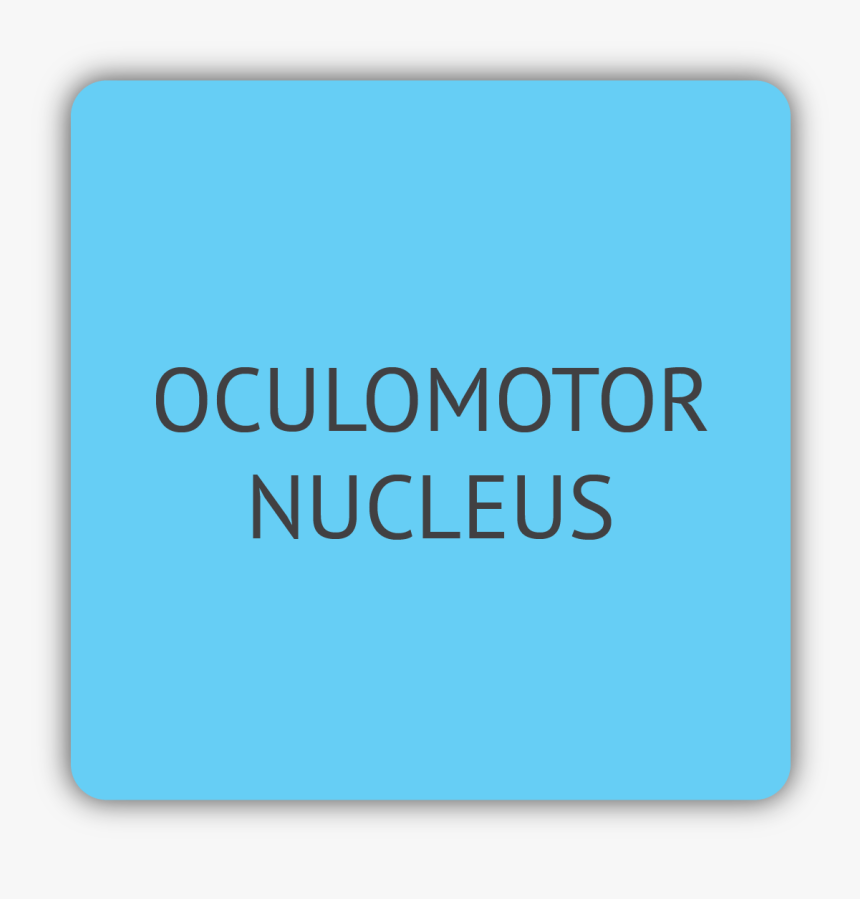 Nucleus Png, Transparent Png