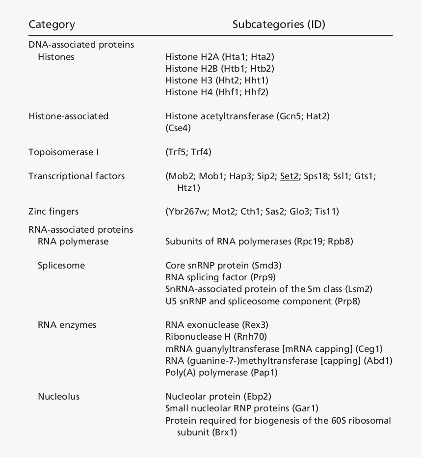 Predisposing Factor In Itp, HD Png Download