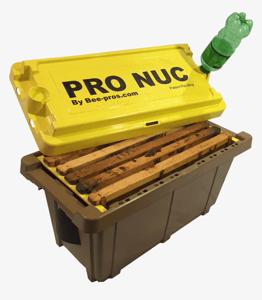 5 Frame April 2020 Dfw Texas Nuc Colony (pickup In - Pro Nuc Box, HD Png Download
