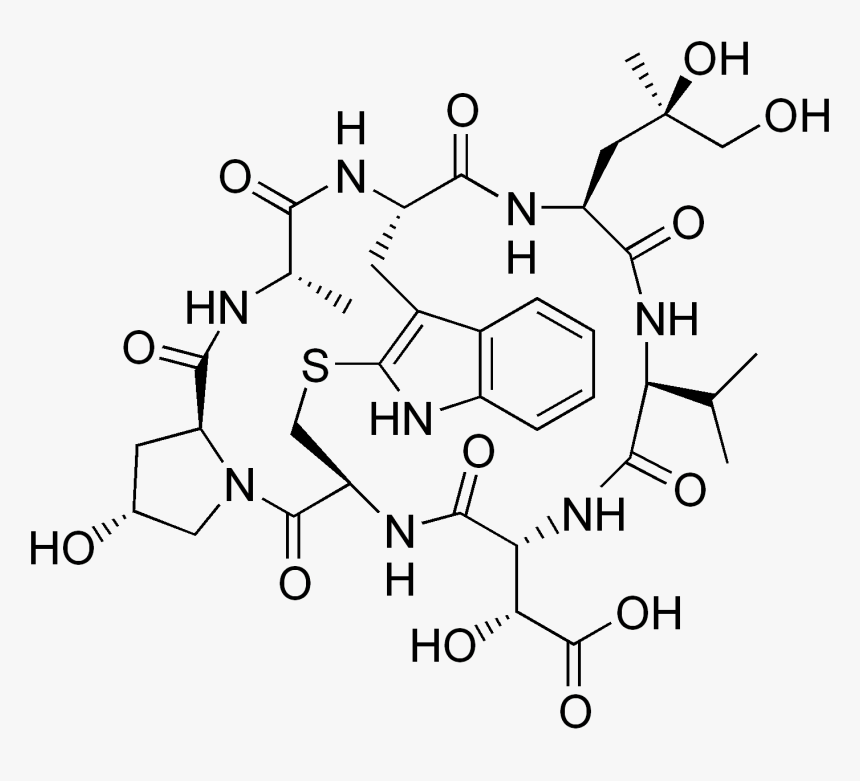 File - Phallacidin - F Actin Chemical Structure, HD Png Download