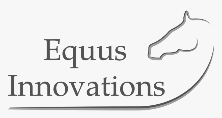 Equus-innovations - Calligraphy, HD Png Download
