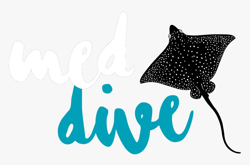 Transparent Mi Bautizo Clipart, HD Png Download