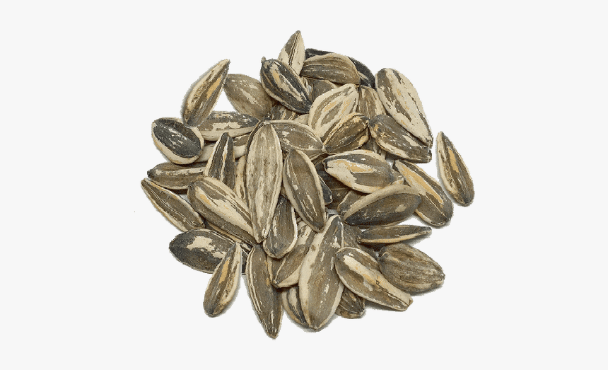 Sunflower Seed, HD Png Download
