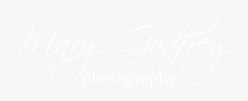 Logo - Johns Hopkins Logo White, HD Png Download