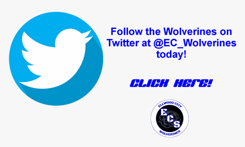 Twitter Button Transparent News Page - Circle, HD Png Download