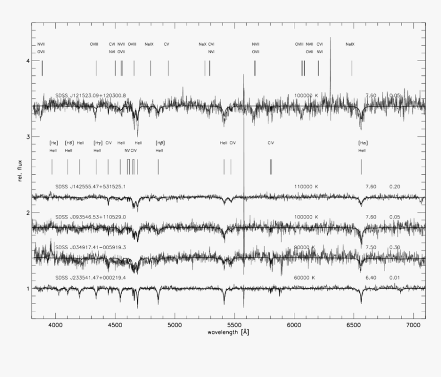 Document, HD Png Download