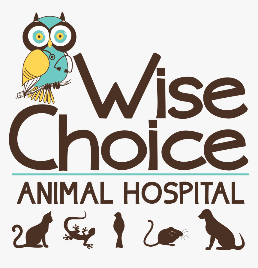 Care Credit Logo Png , Png Download - Wise Choice Logo, Transparent Png