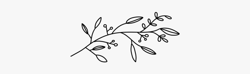 Anthologybotanical1, HD Png Download